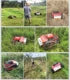Load image into Gallery viewer, Lawn Mower

